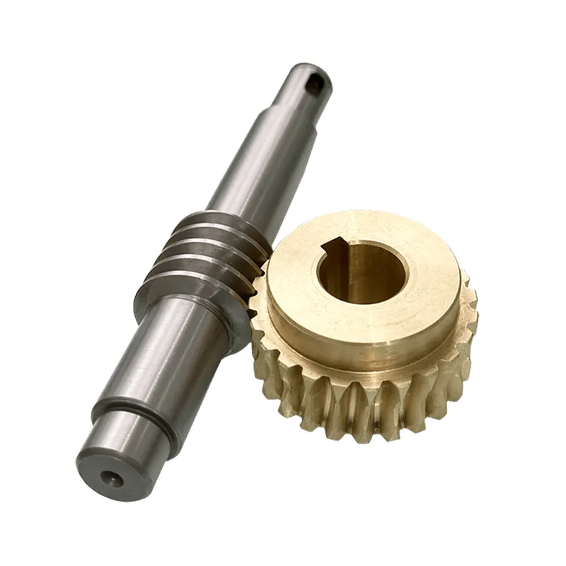 Worm Wheel & Worm Gear